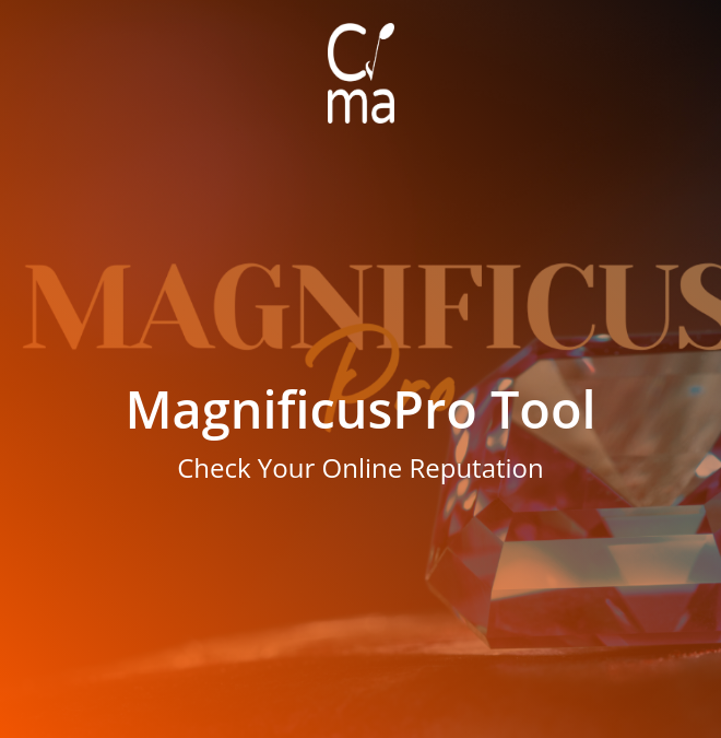 Magnificus Pro Excellent Online Presence