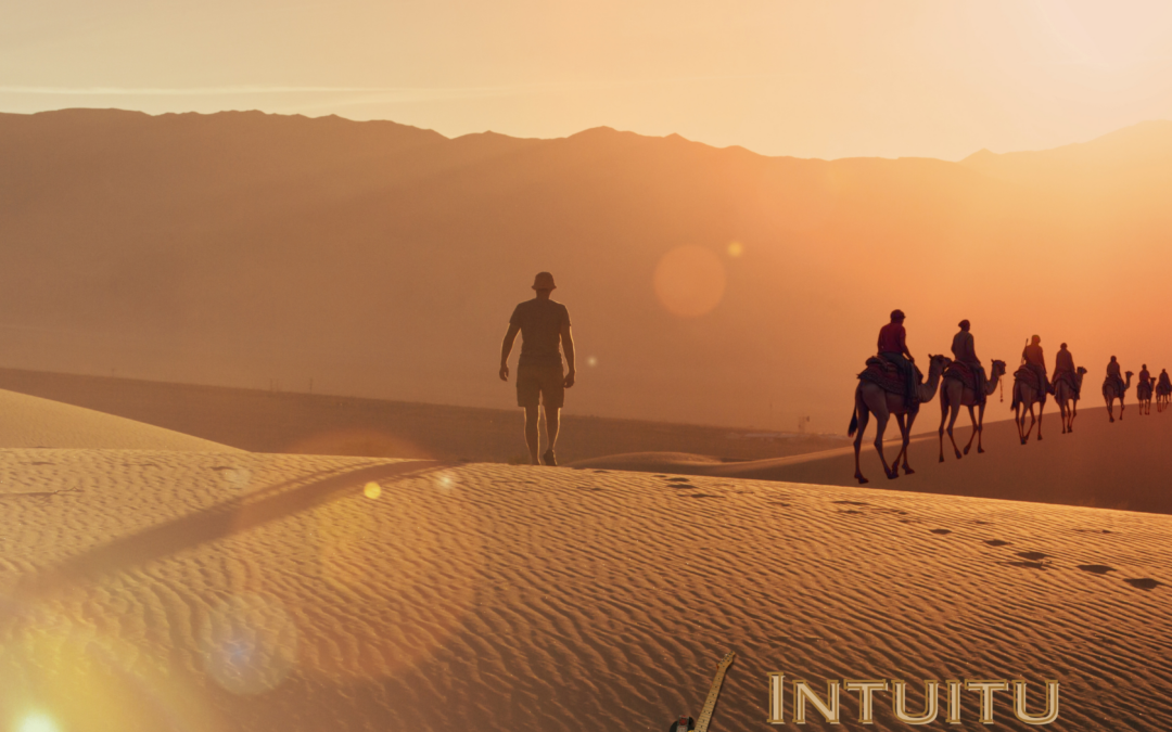 CiMA Streams | Slabo Day | Intuitu Musici